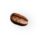 coffee-beans-P4MXYZD7.png