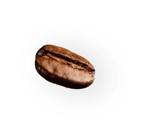 coffee-beans-P4MXYZD7@2x.png